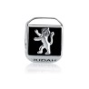 Sterling Silver Square Lion of Judah Charm | Judaica Charms