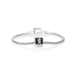 Sterling Silver Square Lion of Judah Charm | Judaica Charms