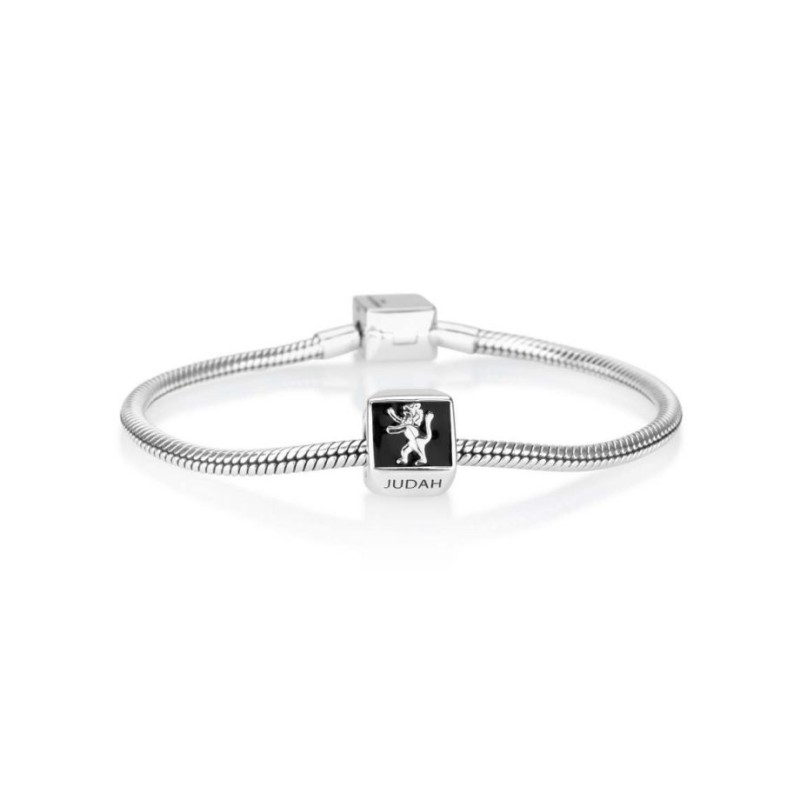 Sterling Silver Square Lion of Judah Charm | Judaica Charms