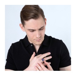 Sterling Silver and Gold Plated Mans Ring with Lion ... | Jewish Rings