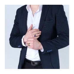 Sterling Silver and Gold Plated Mans Ring with Lion ... | Jewish Rings