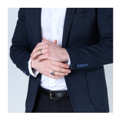 Sterling Silver and Gold Plated Mans Ring with Lion ... | Jewish Rings