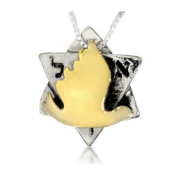 Silver Gold Dove Star of David Pendant by HaAr... | Necklaces by HaAri