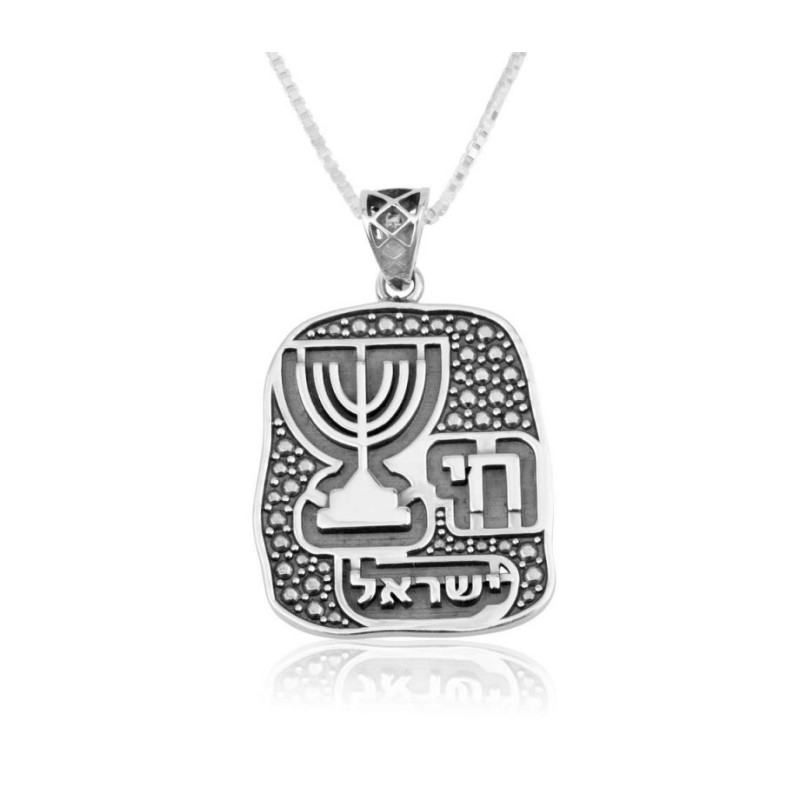 Sterling Silver Necklace %96 Pendant wi... | Chai Necklaces & Pendants