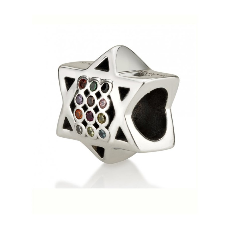 Sterling Silver Star of David Breastplate Charm | Judaica Charms