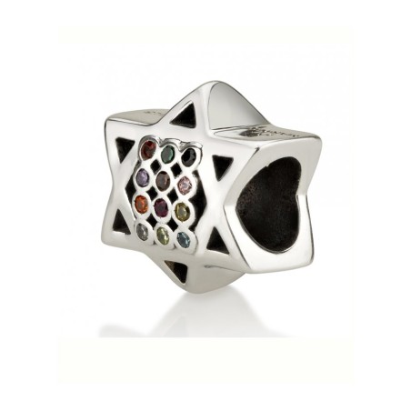 Sterling Silver Star of David Breastplate Charm | Judaica Charms