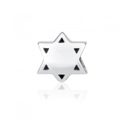 Sterling Silver Star of David Breastplate Charm | Judaica Charms