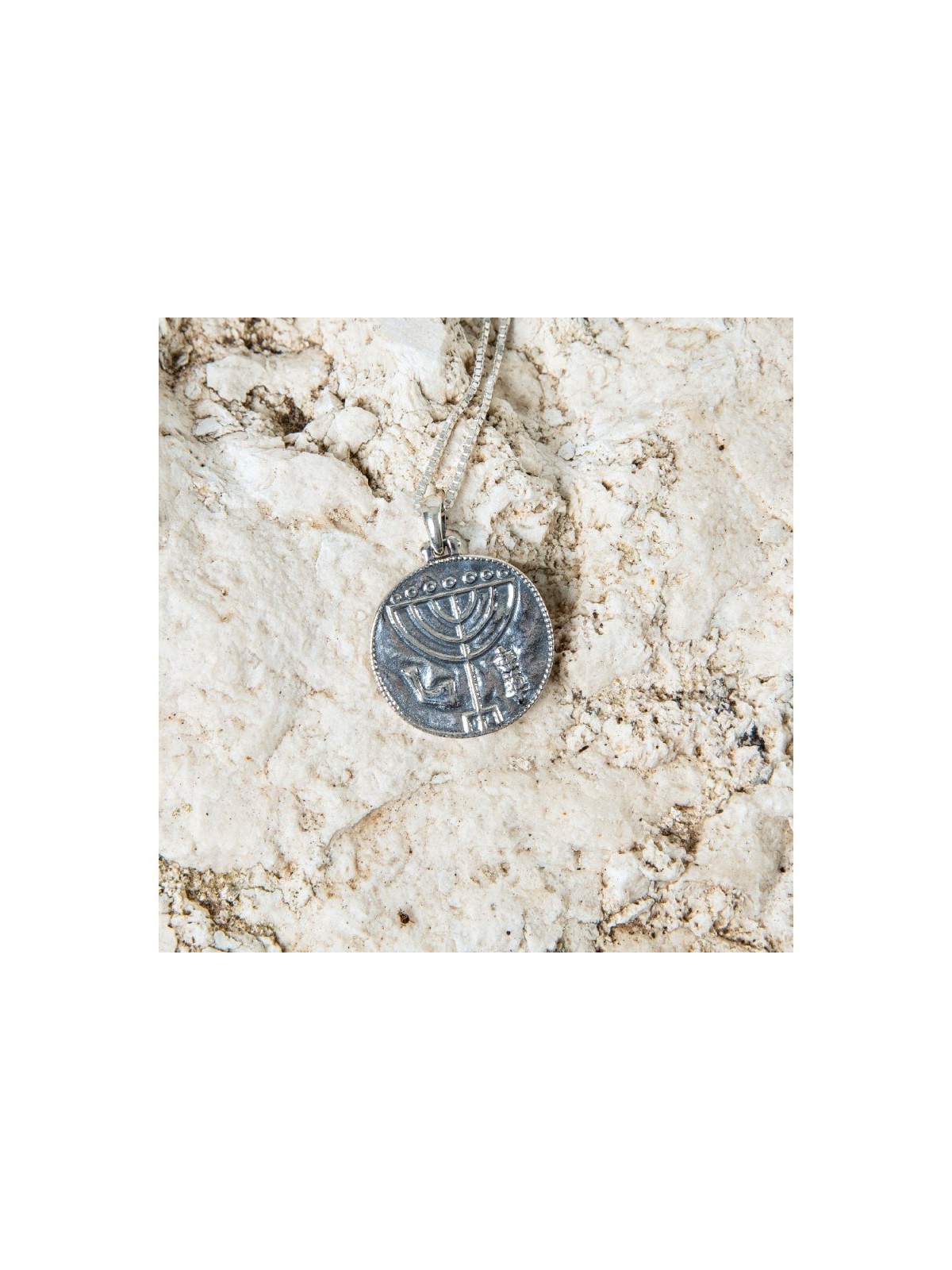 Sterling Silver Pendant Necklace Ancient Coin Meno... | Jewish Pendant