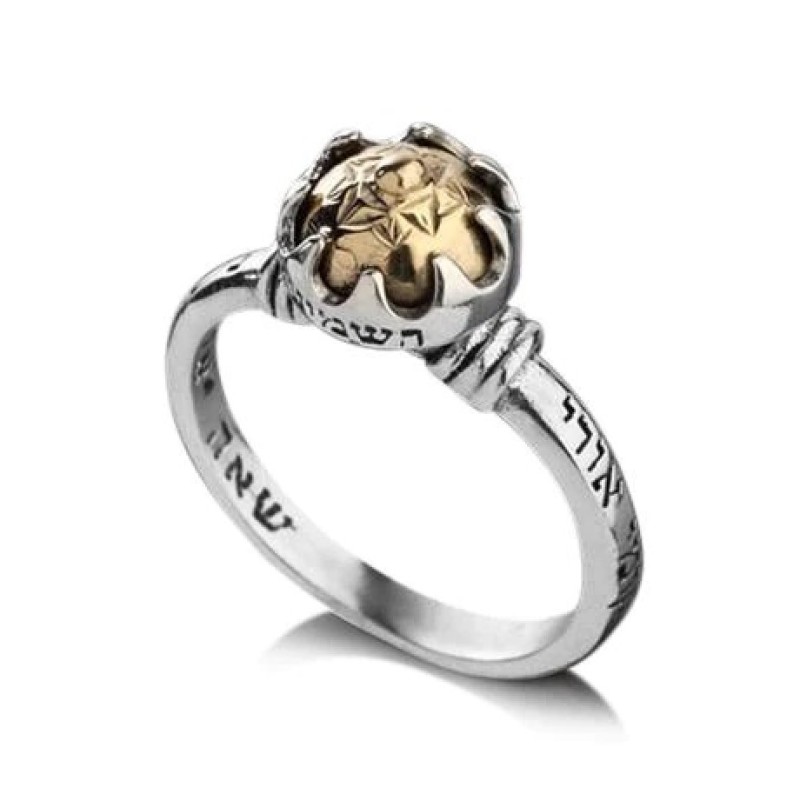 HaAri Kabbalah Ring Silver and Gold with Five Metals... | Jewish Rings