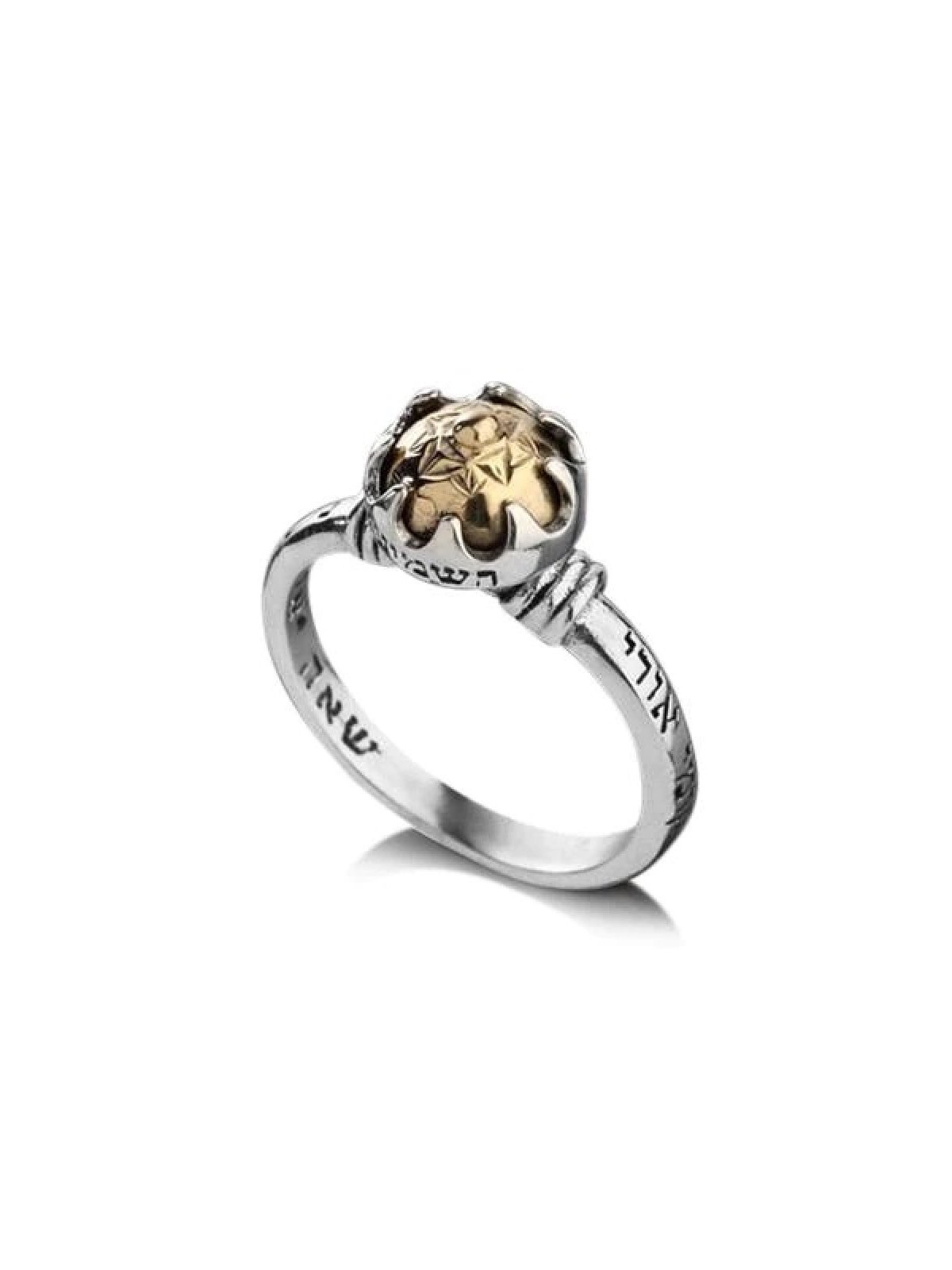 HaAri Kabbalah Ring Silver and Gold with Five Metals... | Jewish Rings