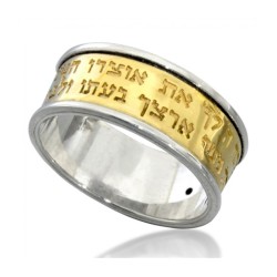 HaAri Gold and Silver Ring with Black Diamond and Pr... | Jewish Rings