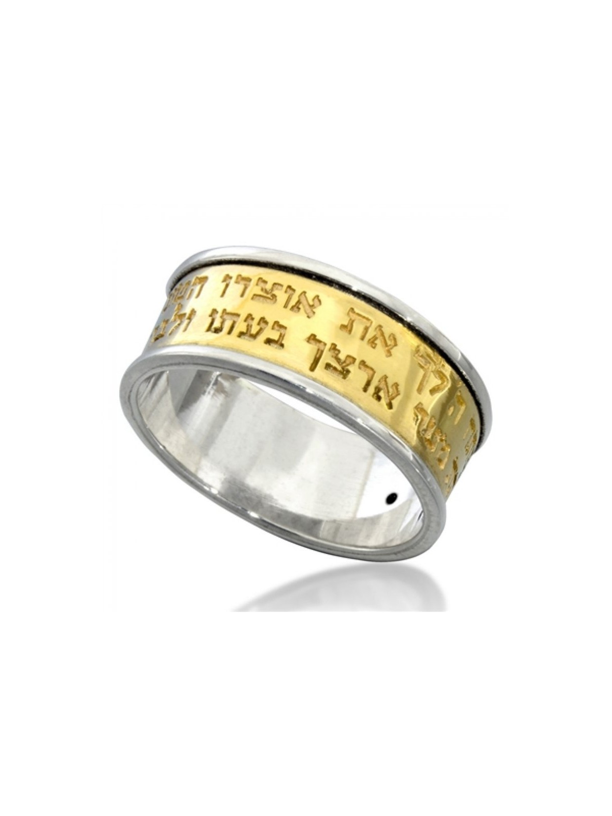 HaAri Gold and Silver Ring with Black Diamond and Pr... | Jewish Rings