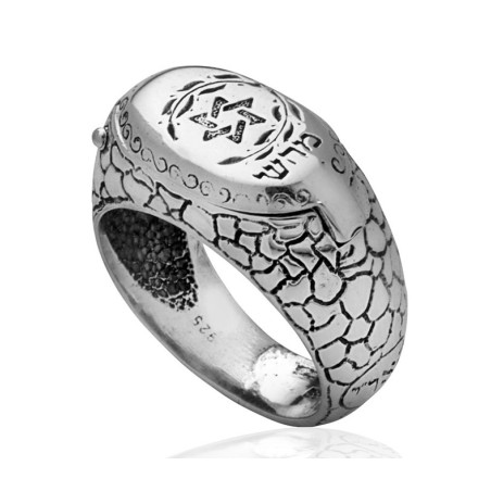 HaAri Silver Signet Snake Ring with Kabbalah Engravi... | Jewish Rings