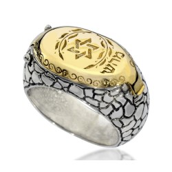 HaAri Silver and Gold Signet Snake Ring Kabbalah Eng... | Jewish Rings
