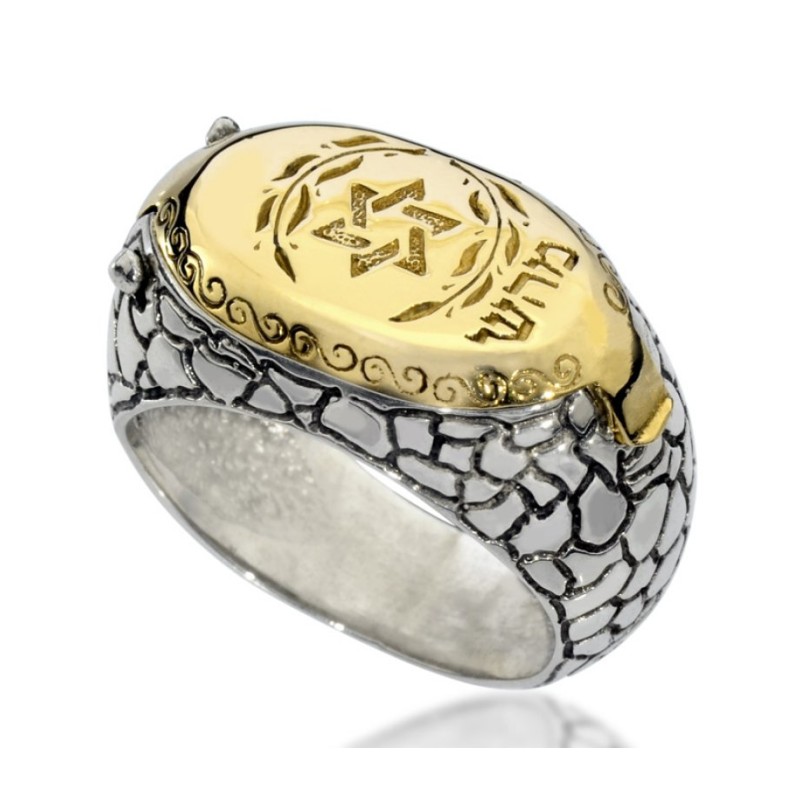 HaAri Silver and Gold Signet Snake Ring Kabbalah Eng... | Jewish Rings