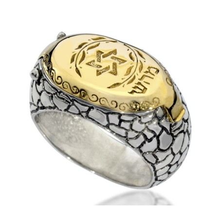 HaAri Silver and Gold Signet Snake Ring Kabbalah Eng... | Jewish Rings