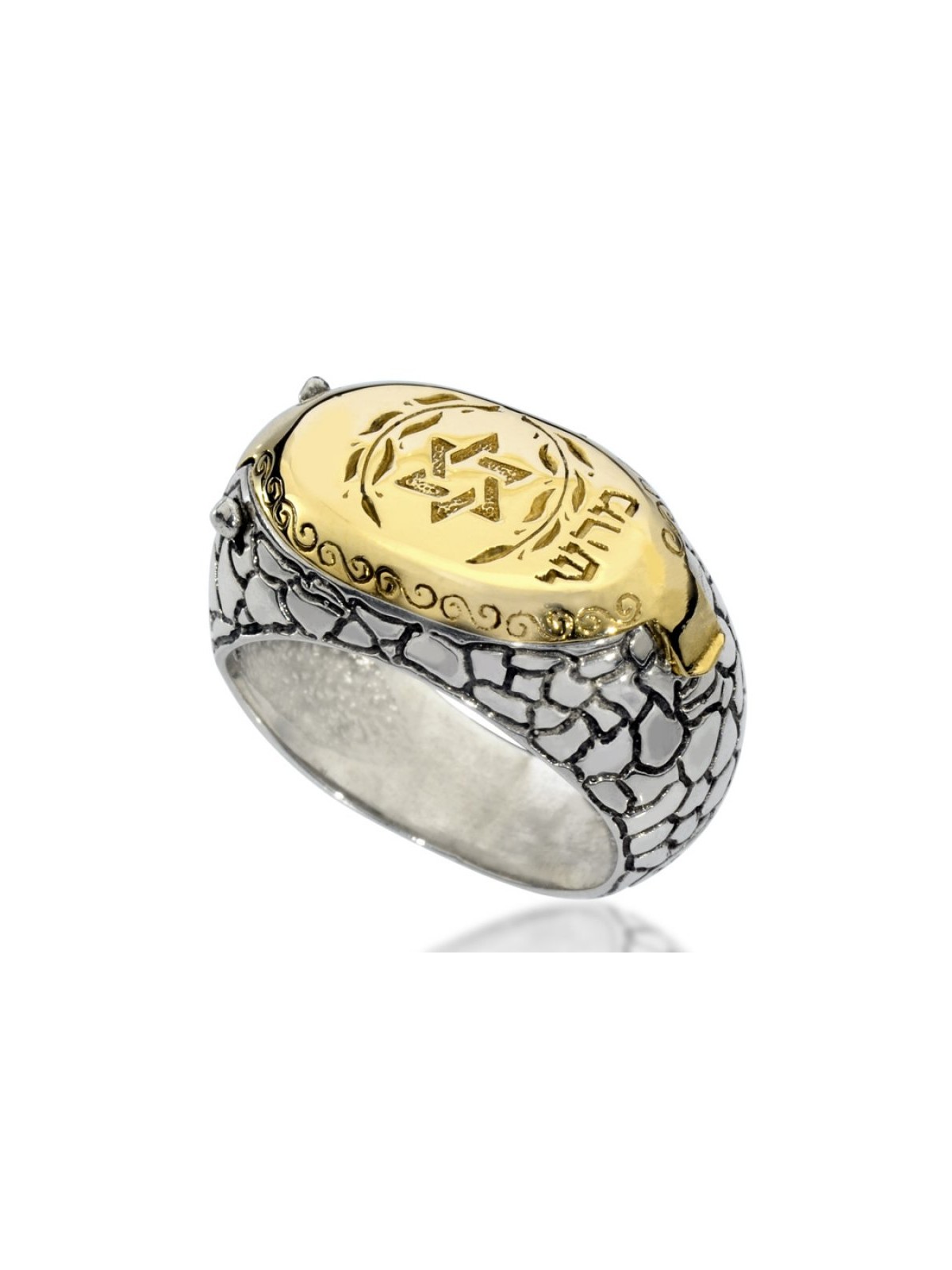 HaAri Silver and Gold Signet Snake Ring Kabbalah Eng... | Jewish Rings
