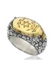 HaAri Silver and Gold Signet Snake Ring Kabbalah Eng... | Jewish Rings