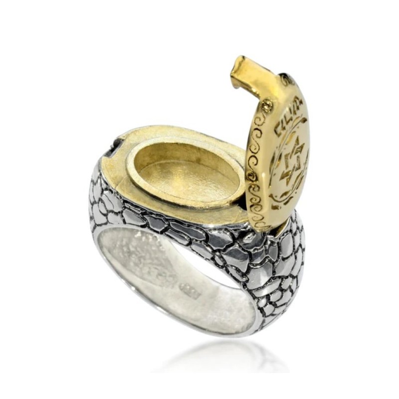 HaAri Silver and Gold Signet Snake Ring Kabbalah Eng... | Jewish Rings