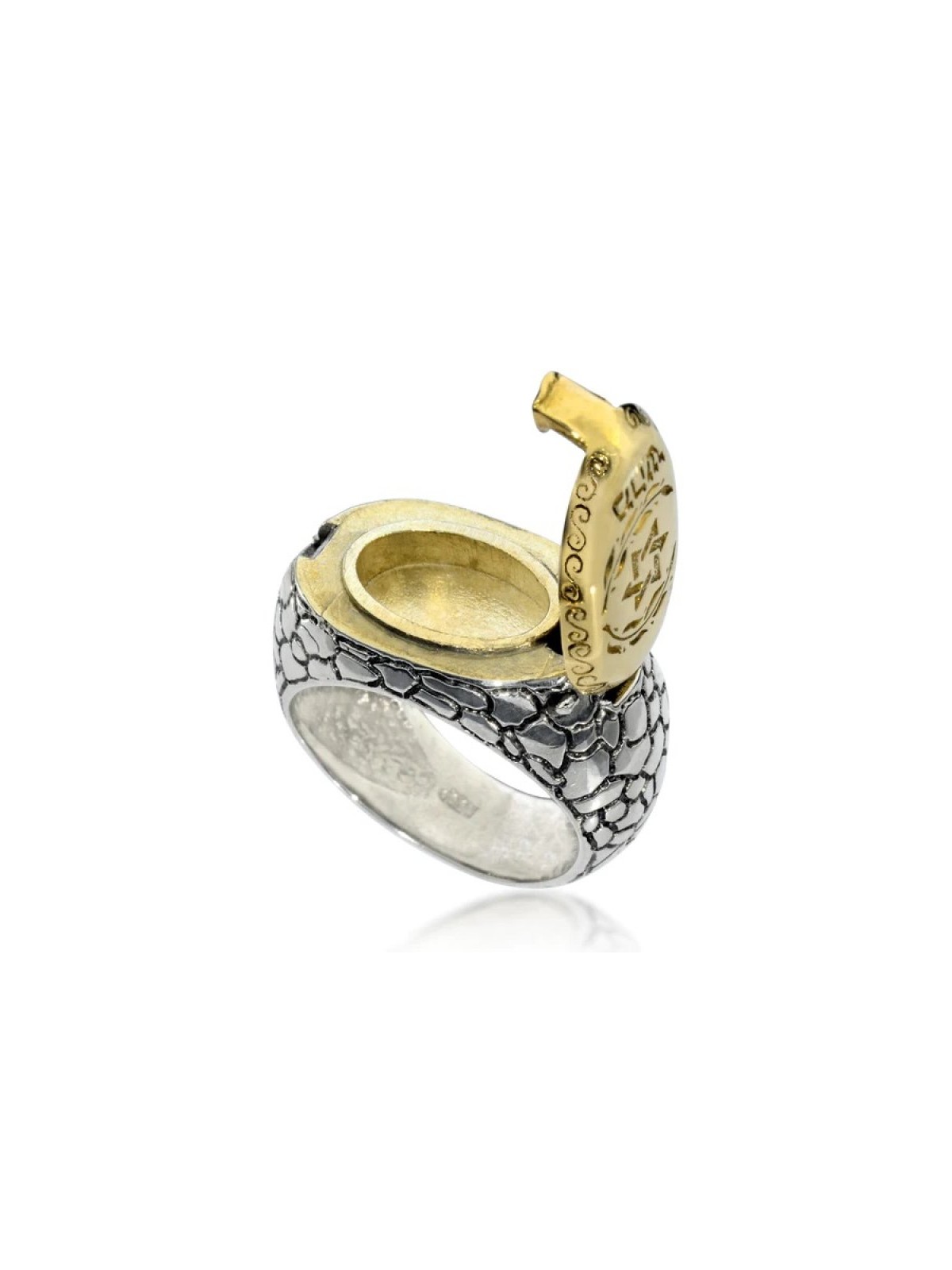 HaAri Silver and Gold Signet Snake Ring Kabbalah Eng... | Jewish Rings