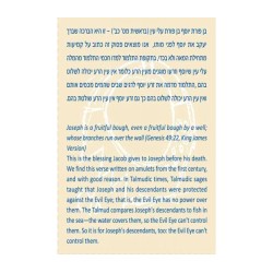 Shraga Landesman Ben Porat Yossef Hamsa Necklace N... | Hamsa Necklace