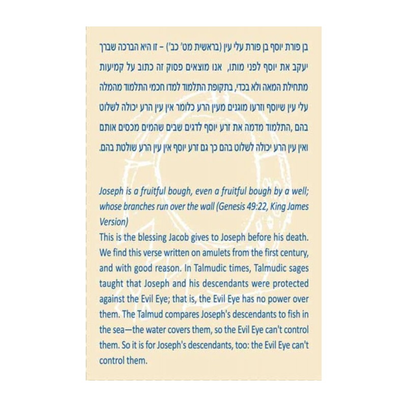 Shraga Landesman Ben Porat Yossef Hamsa Necklace N... | Hamsa Necklace