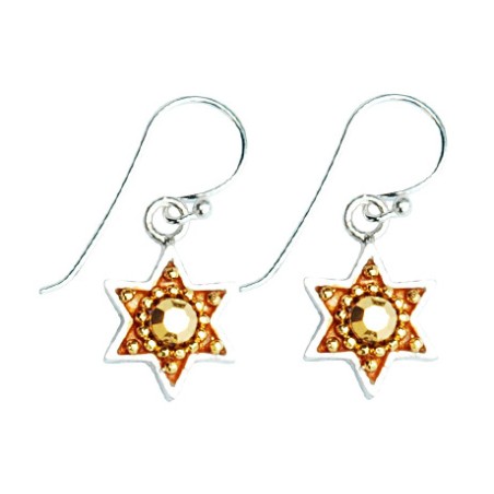 Silver Earrings with Star of David by Ester Shahaf | Earrings