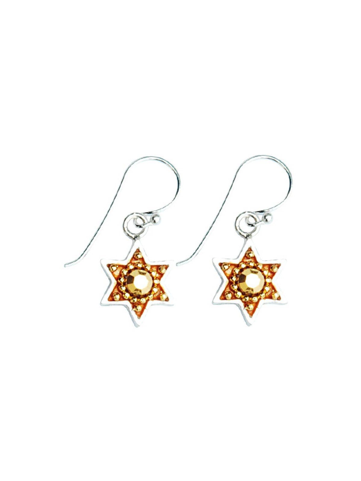 Silver Earrings with Star of David by Ester Shahaf | Earrings