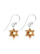 Silver Earrings with Star of David by Ester Shahaf | Earrings