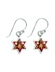 Silver Star of David Earrings in Maroon by Ester Shahaf | Earrings