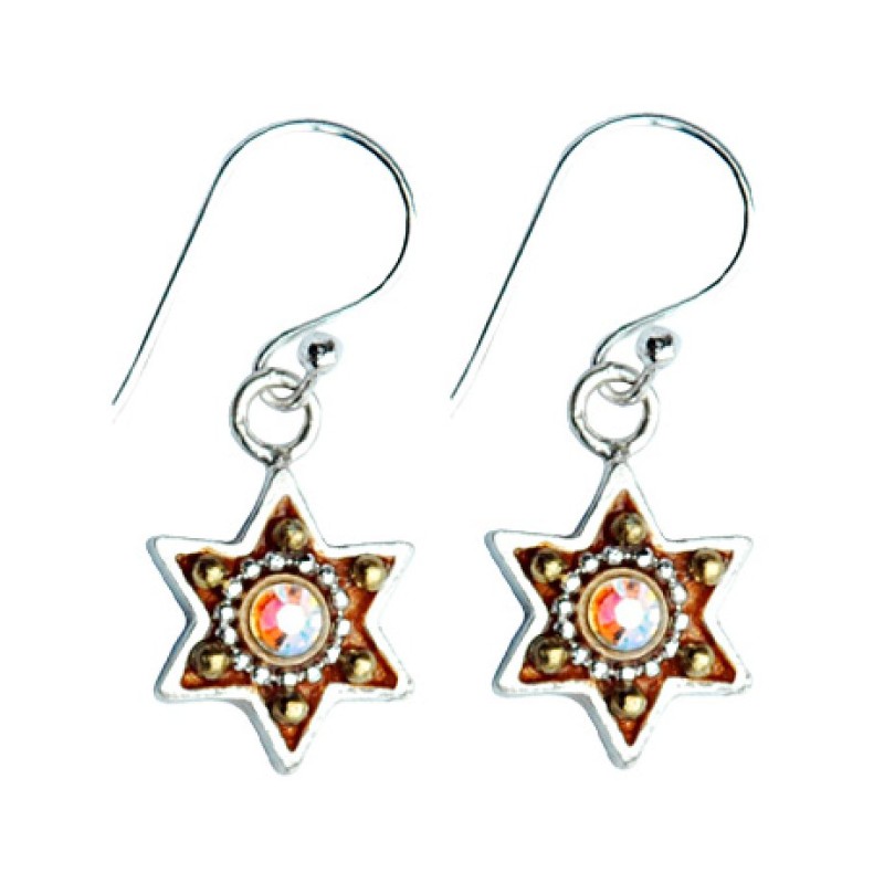 Colorful Silver Star of David Earrings by Ester Shahaf | Earrings
