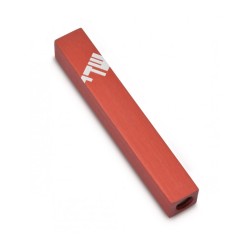 Adi Sidler Mini Mezuzah Case Three Lettered Hebrew ... | Small Mezuzah