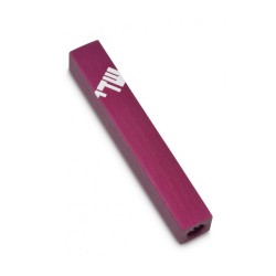 Adi Sidler Mini Mezuzah Case Three Lettered Hebrew ... | Small Mezuzah