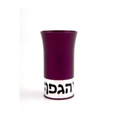 Agayof Aluminum Havdalah Set Modern Design Purple | Havdalah Sets