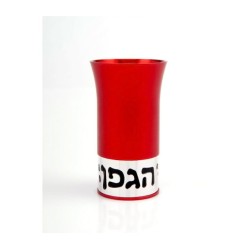 Agayof Aluminum Havdallah Set Modern Design Red | Havdalah Sets