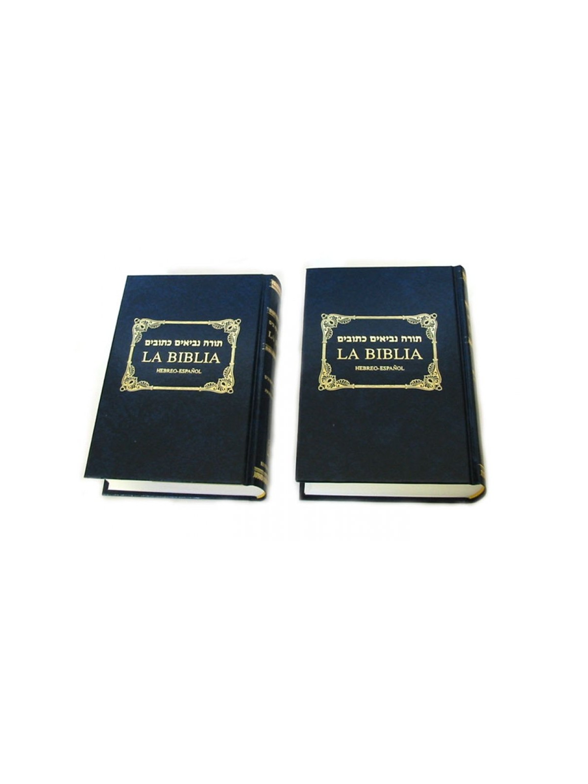Tanach Bible with Spanish Translation | Bibles