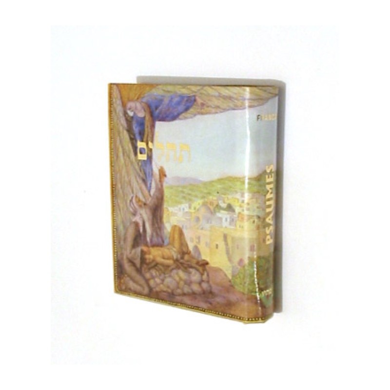 Pocket Size Book of Psalms with French Translation | Prayerbooks