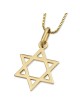 Stylish 14K Yellow Gold Star of David Pendant Necklace