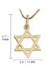 Stylish 14K Yellow Gold Star of David Pendant Necklace