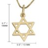 Stylish 14K Yellow Gold Star of David Pendant Necklace
