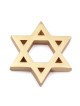 Deluxe 14K Gold Star of David Pendant Necklace - Unisex