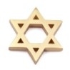 Deluxe 14K Gold Star of David Pendant Necklace - Unisex
