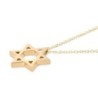 Deluxe 14K Gold Star of David Pendant Necklace - Unisex