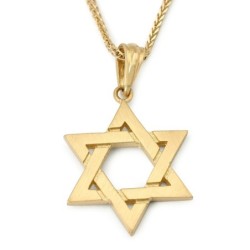 14K Gold Interconnecting Star of David Pendant - Yellow or White Gold