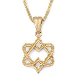 14K Gold Hearts Star of David Pendant Necklace for Women
