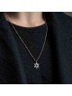 Grand Star of David Necklace with Micro-Inscribed Bible Chip - Silver