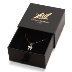 14K Gold Chai Pendant Necklace with Diamonds