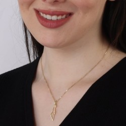 14K Gold Outline Map of Israel Pendant with Star of David - Yellow or
