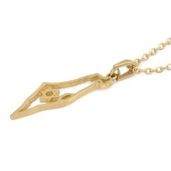 14K Gold Outline Map of Israel Pendant with Star of David - Yellow or