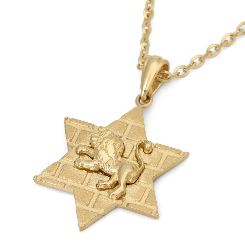 14K Gold Star of David Unisex Pendant Necklace with Lion of Judah